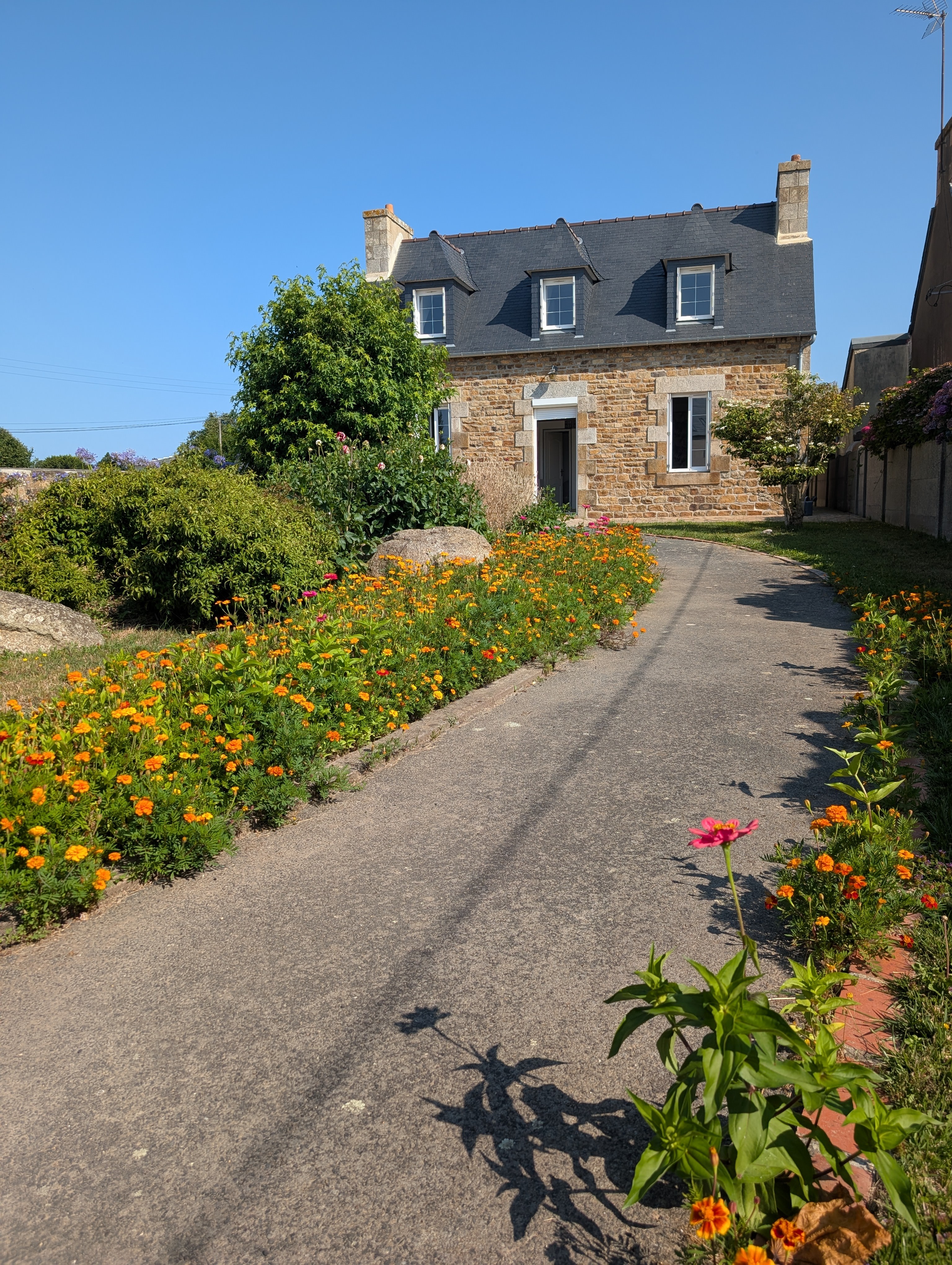 Un bel été