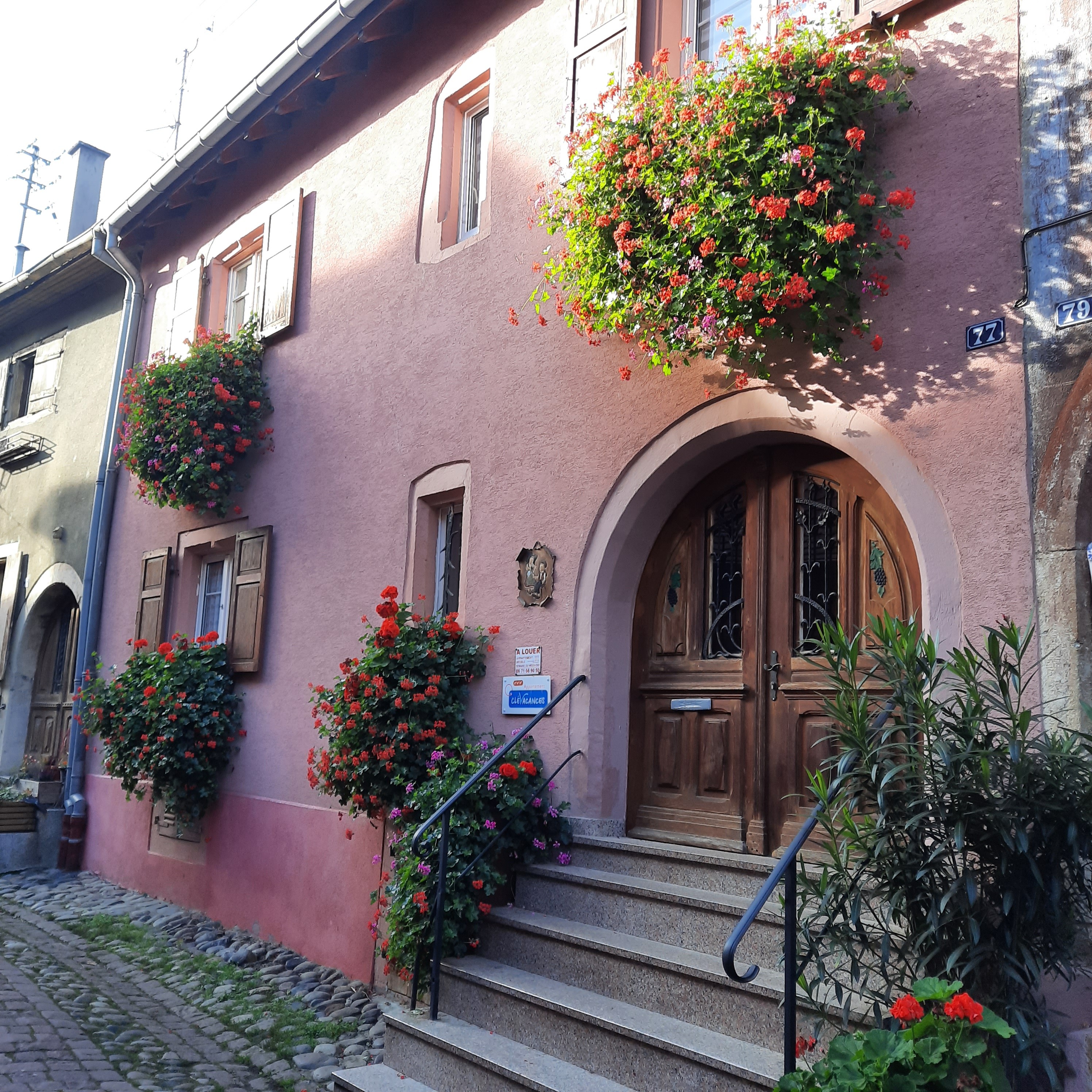 Photo n° 1 de la location