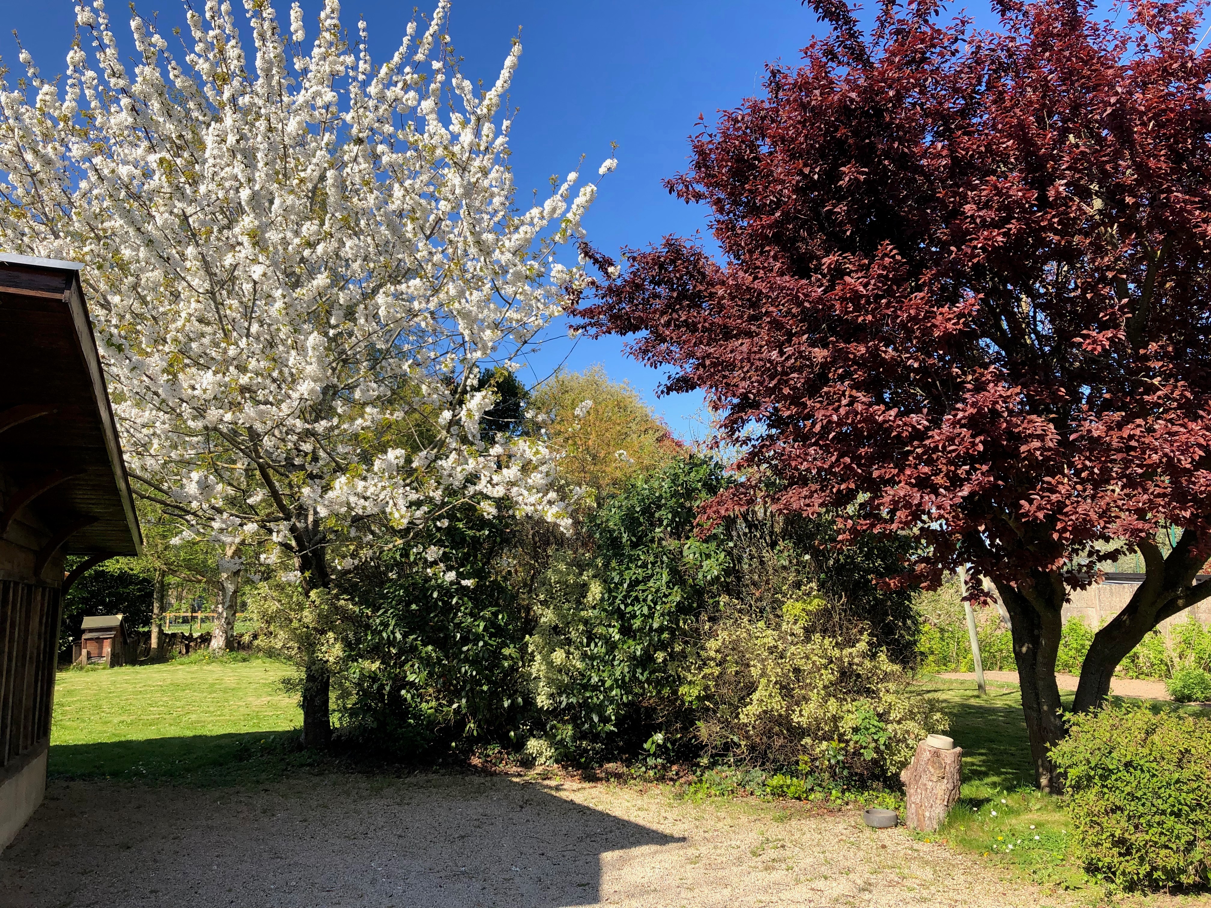 au jardin