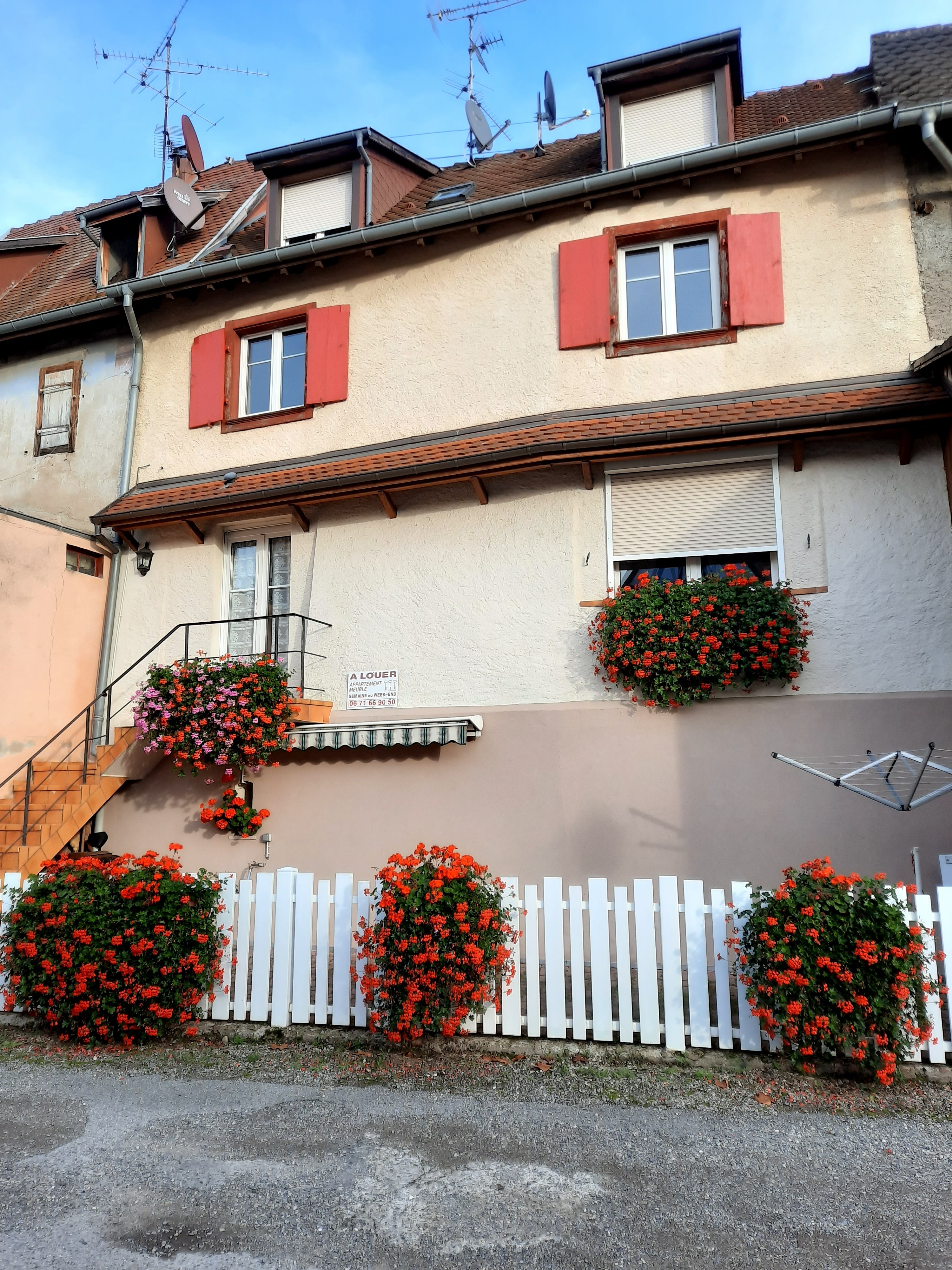 Photo n° 4 de la location