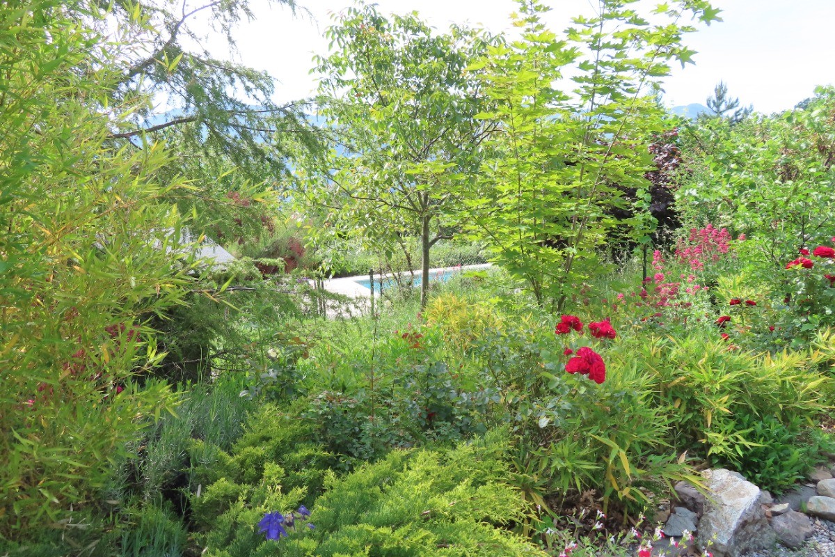 Le jardin vu de l'appartement