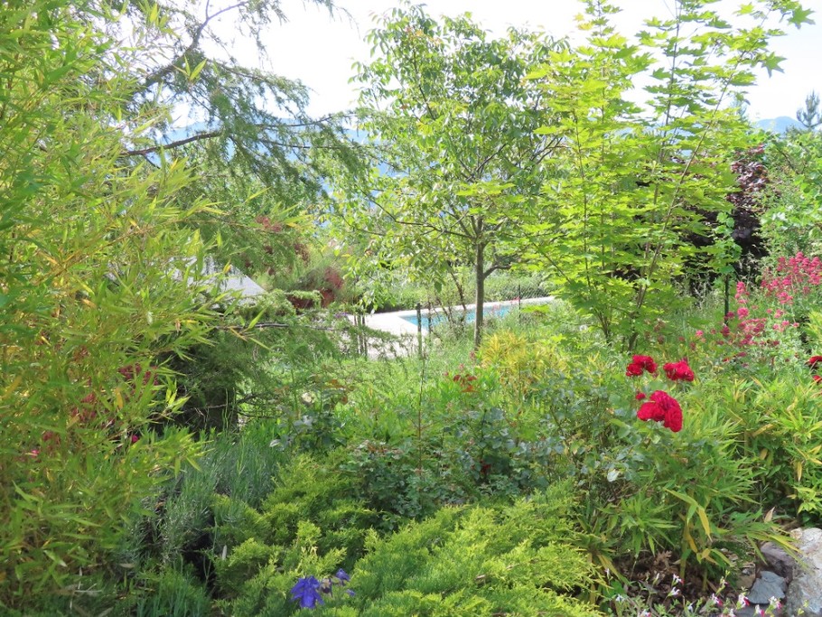 Le jardin vu de l'appartement