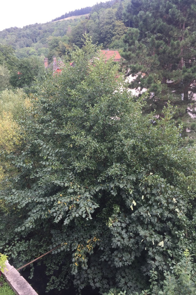 Vue de la chambre et de la chambre des enfants