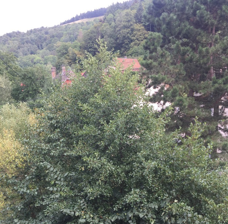 Vue de la chambre et de la chambre des enfants