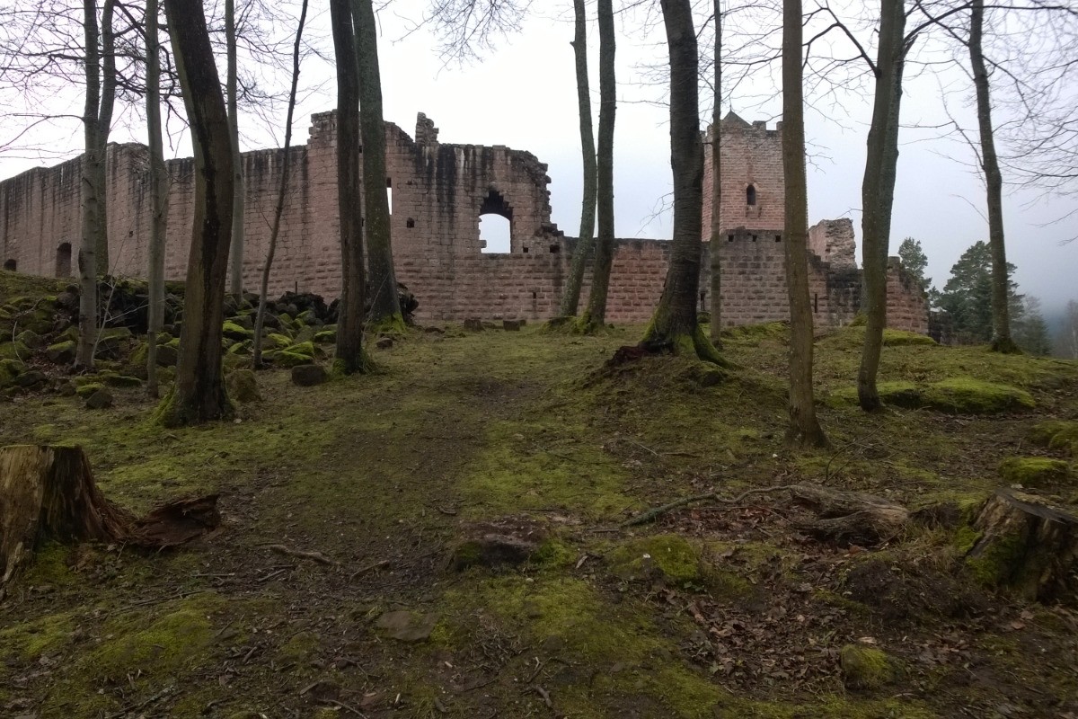 Château de Wagenbourg