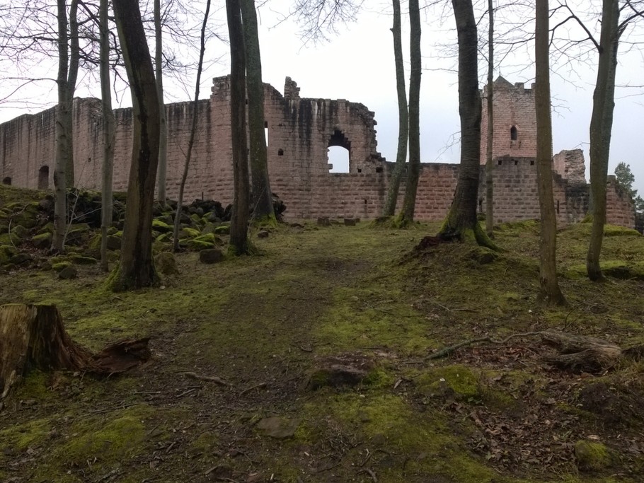 Château de Wagenbourg
