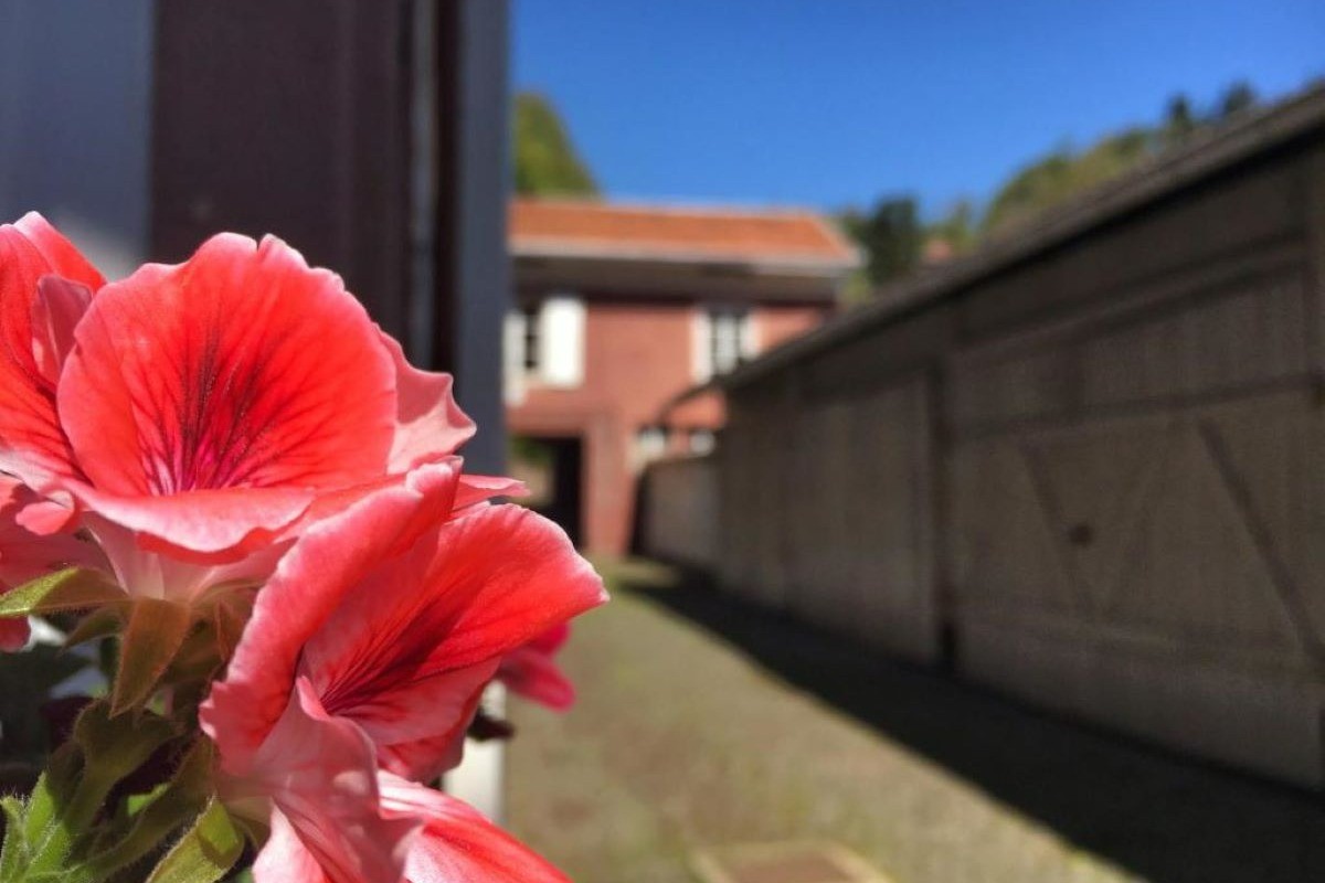 Photo n° 14 de la location