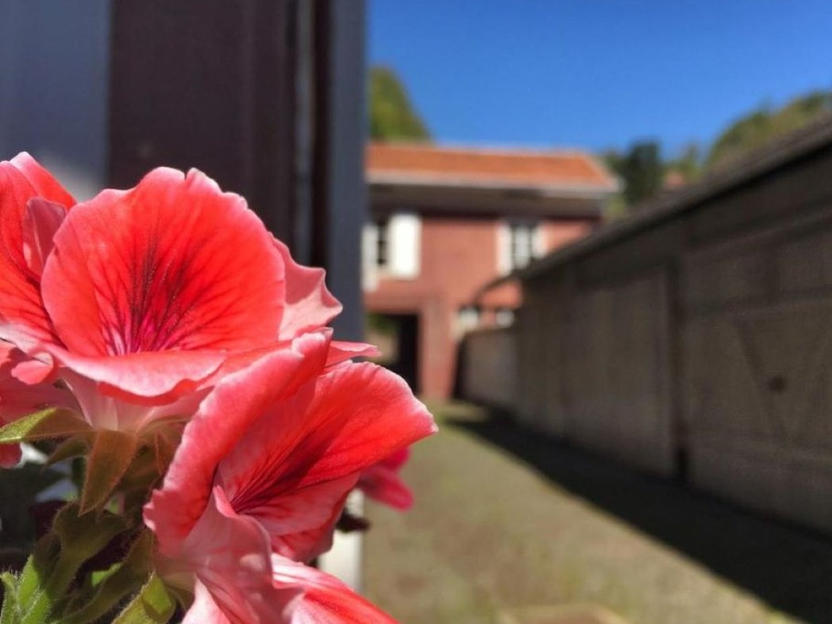 Photo n° 14 de la location