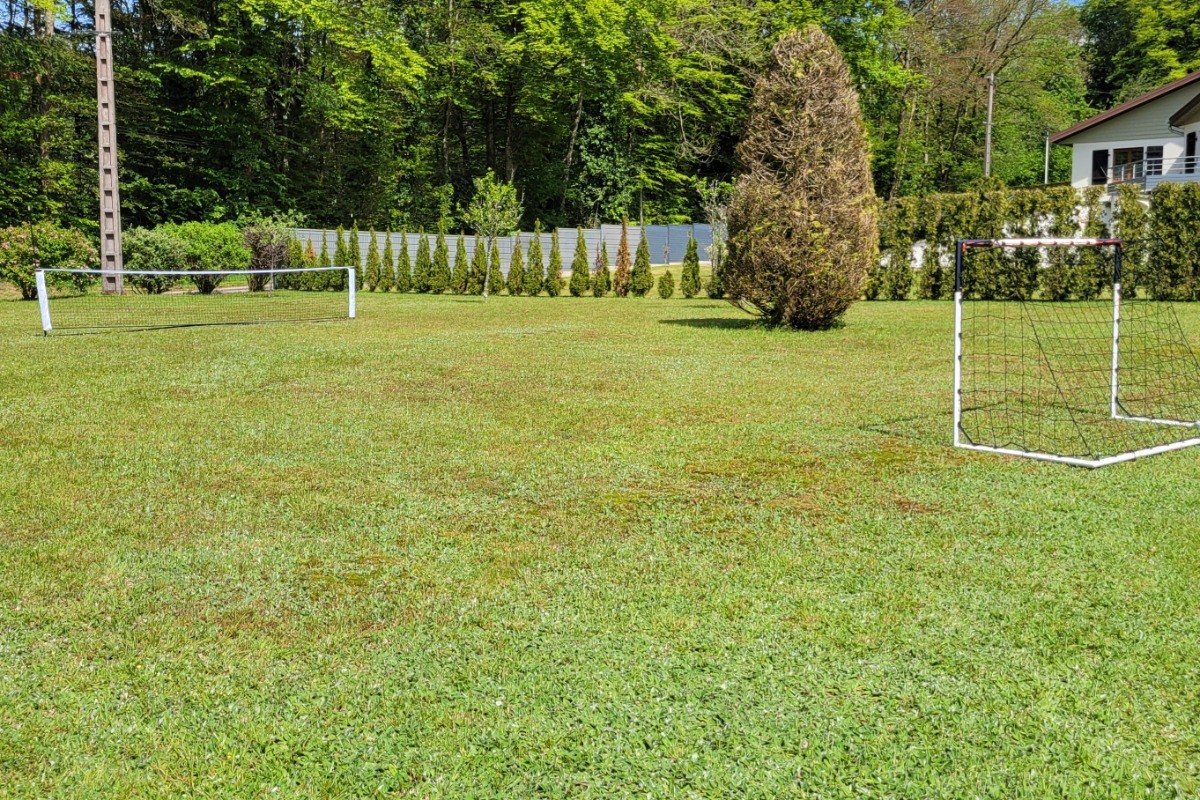 Un espace vert commun pour profiter de jeu en plein air.