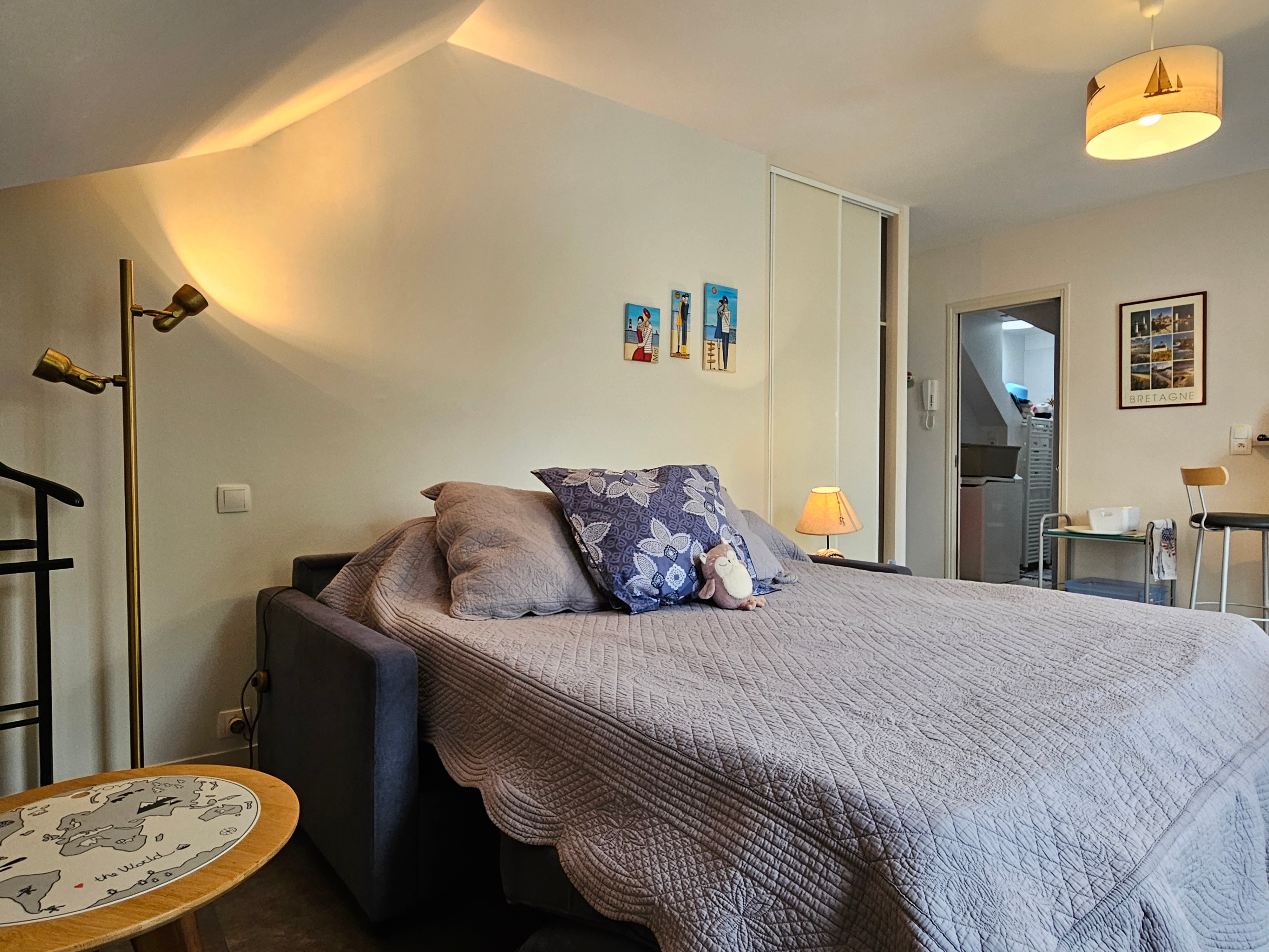 Studio with kitchenette on the left, comfortable convertible sofa bed 160 x 200 cm, dining table, desk, TV, storage space, private shower room and WC.