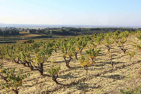 Photo n° 13 of the location