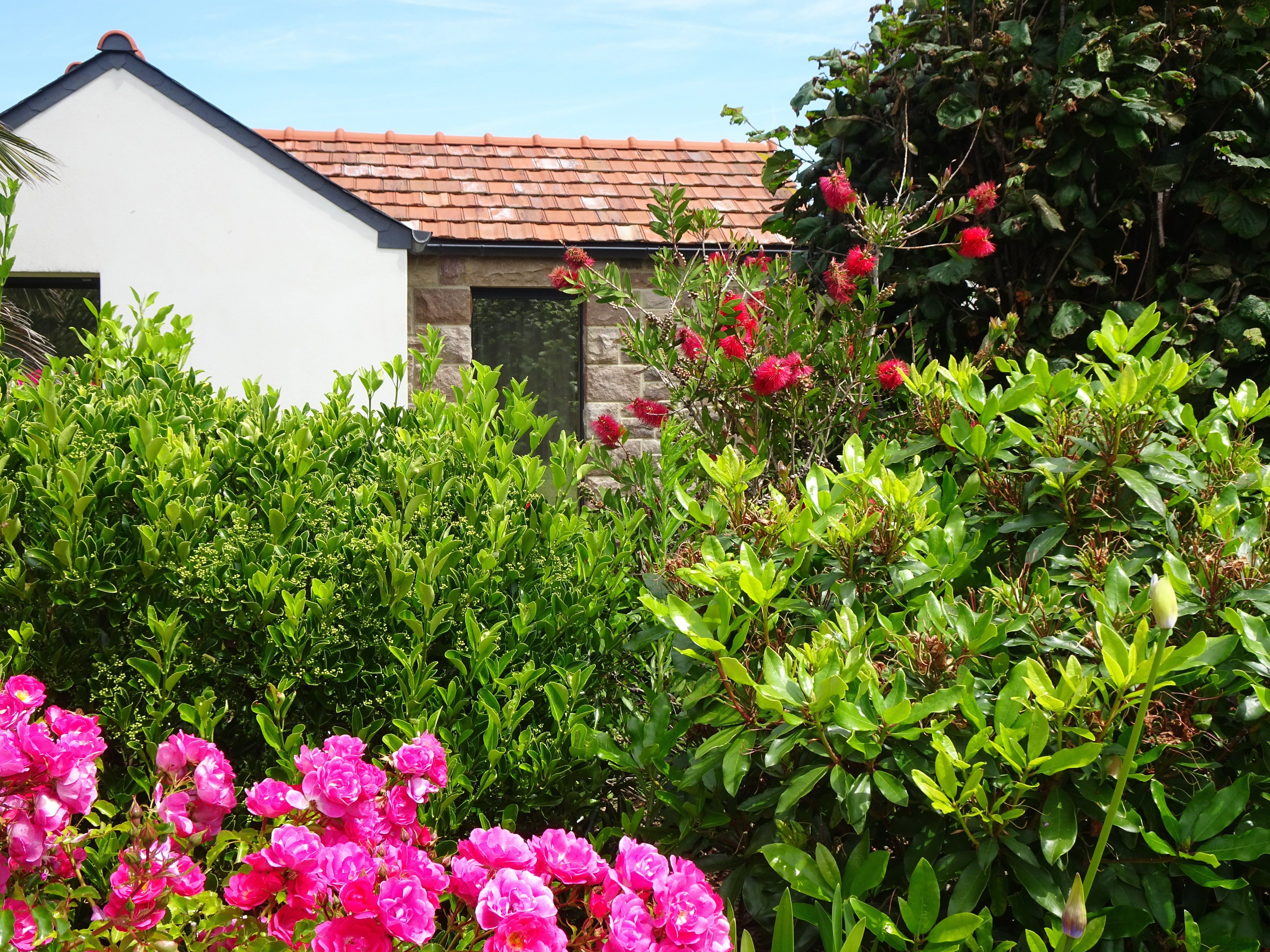 jardin