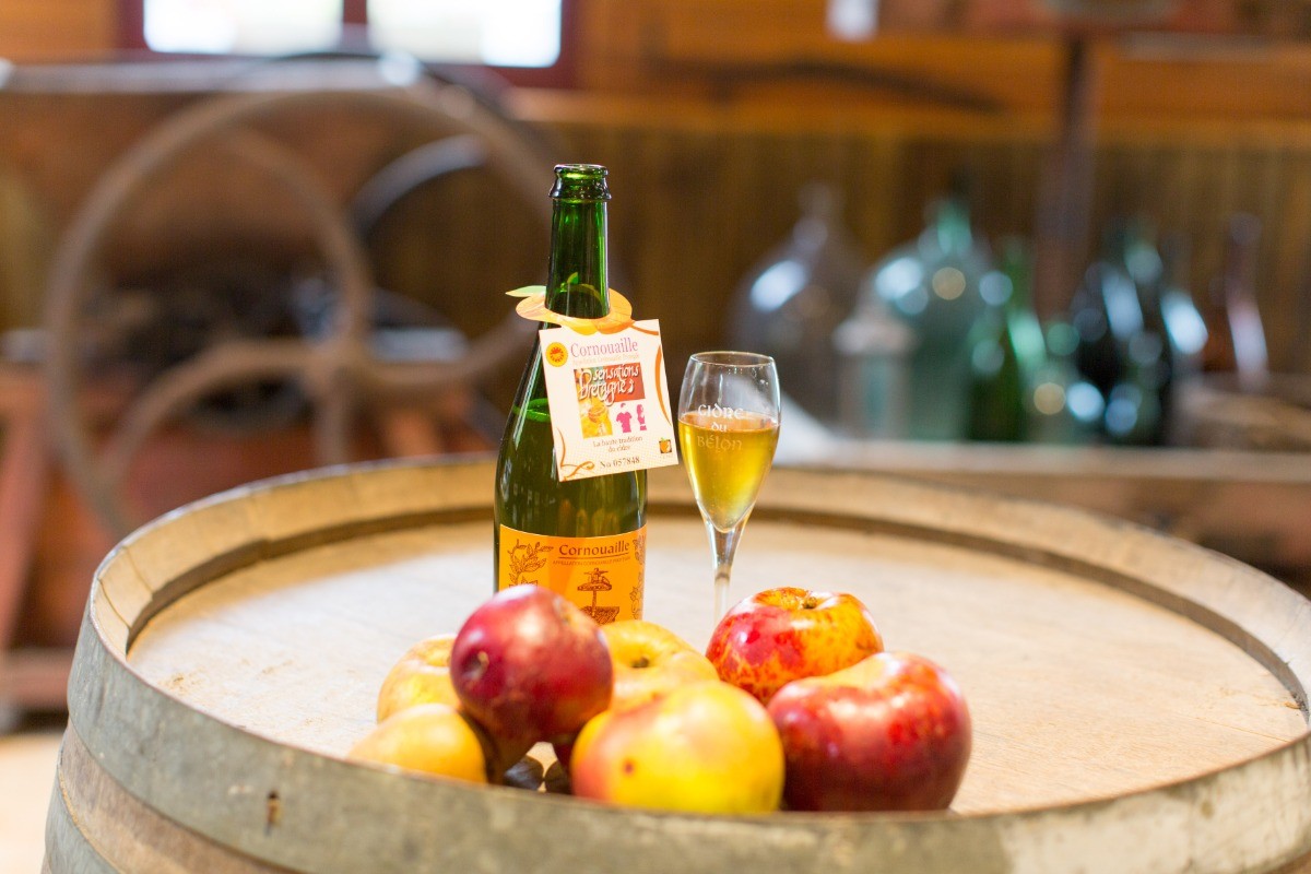 Photo n° 10 de la location