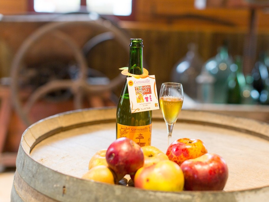 Photo n° 10 de la location