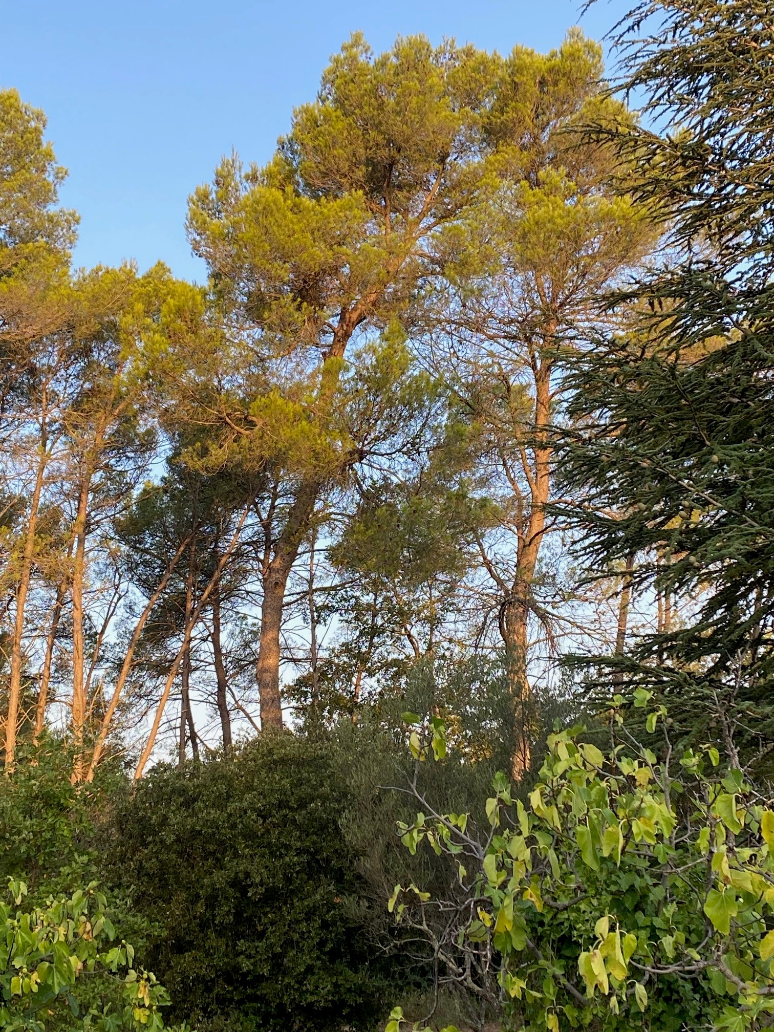 Photo n° 6 of the location