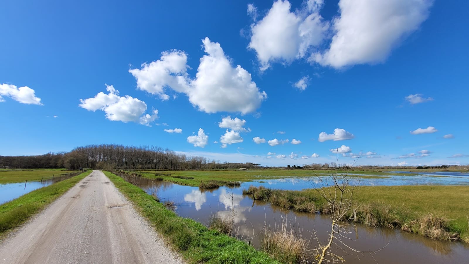 Marais breton