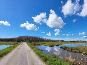 Marais breton