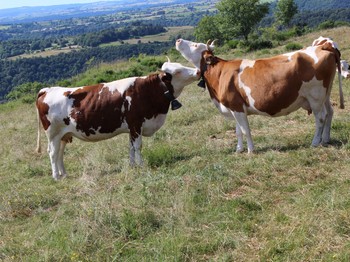 Photo n° 17 of the location