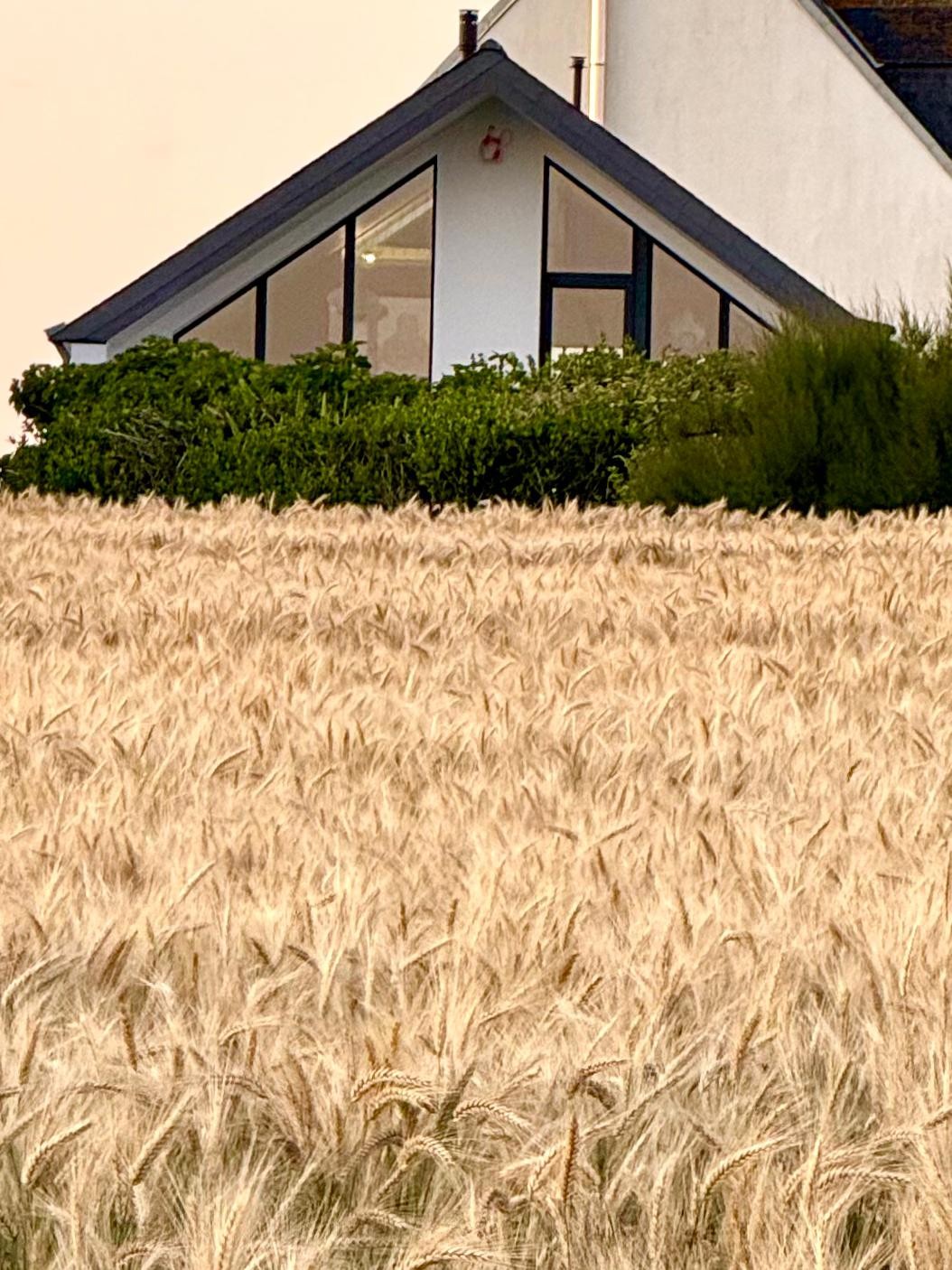 Photo n° 16 de la location