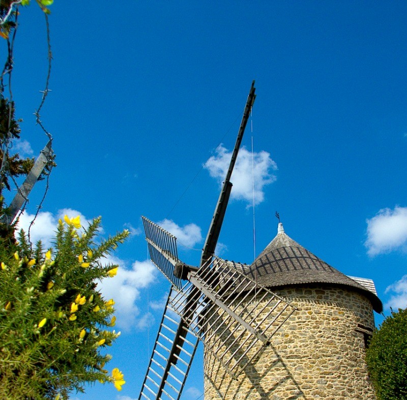 Moulin au Mont-Dol