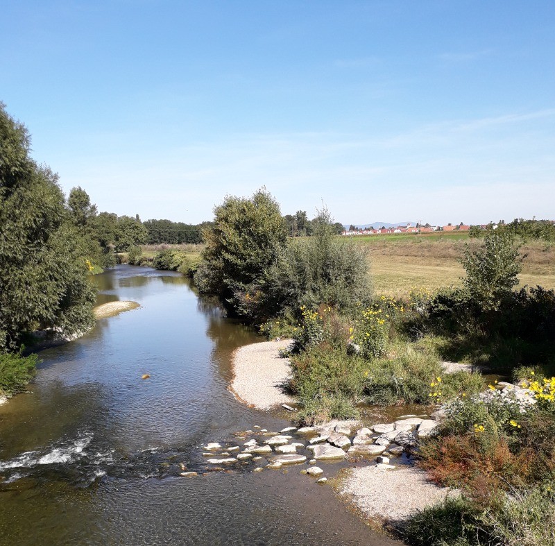 Photo n° 19 de la location