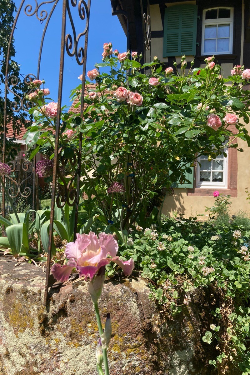 Photo n° 16 of the location