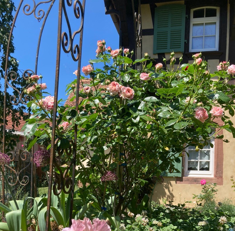 Photo n° 16 de la location