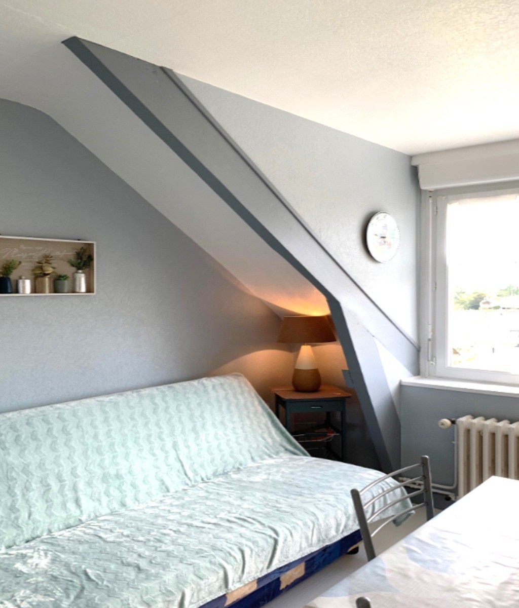 Pièce de vie avec coin cuisine aménagée et bien équipée, coin salon avec canapé convertible et TV.