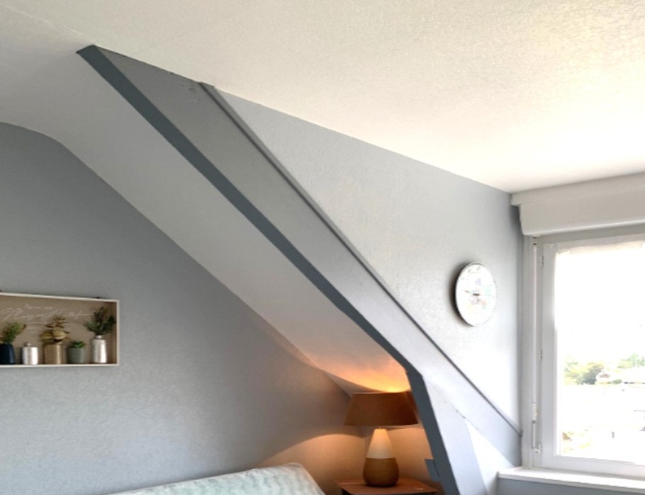 Pièce de vie avec coin cuisine aménagée et bien équipée, coin salon avec canapé convertible et TV.