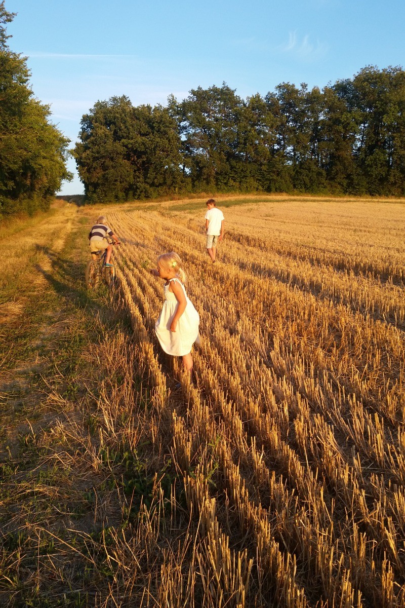 promenades autour de la maison : prés et bois