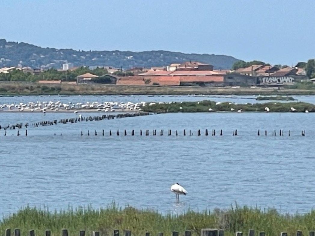 Photo n° 11 de la location