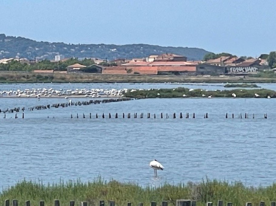 Photo n° 11 de la location