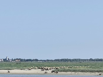 Photo n° 32 of the location