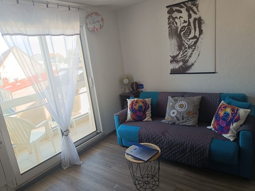 pièce principale canapé lit