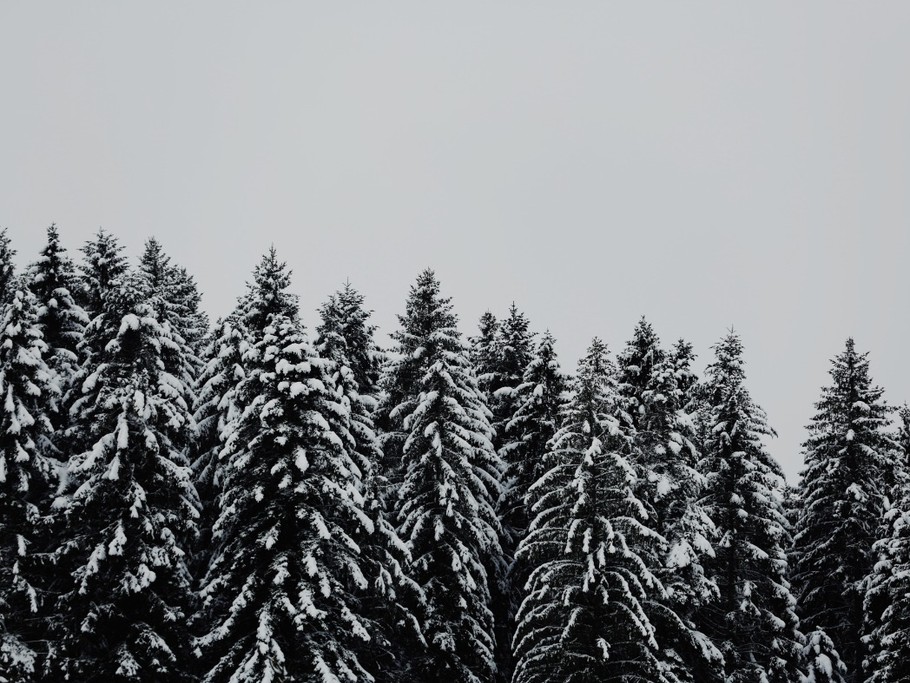 ©Photo de Pierre Gui sur Unsplash