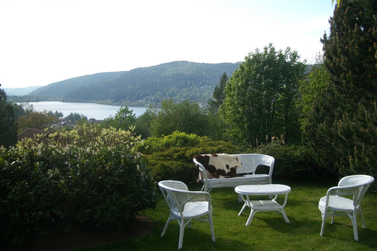 Le jardin belle vue lac - Gîte Sunny Hill