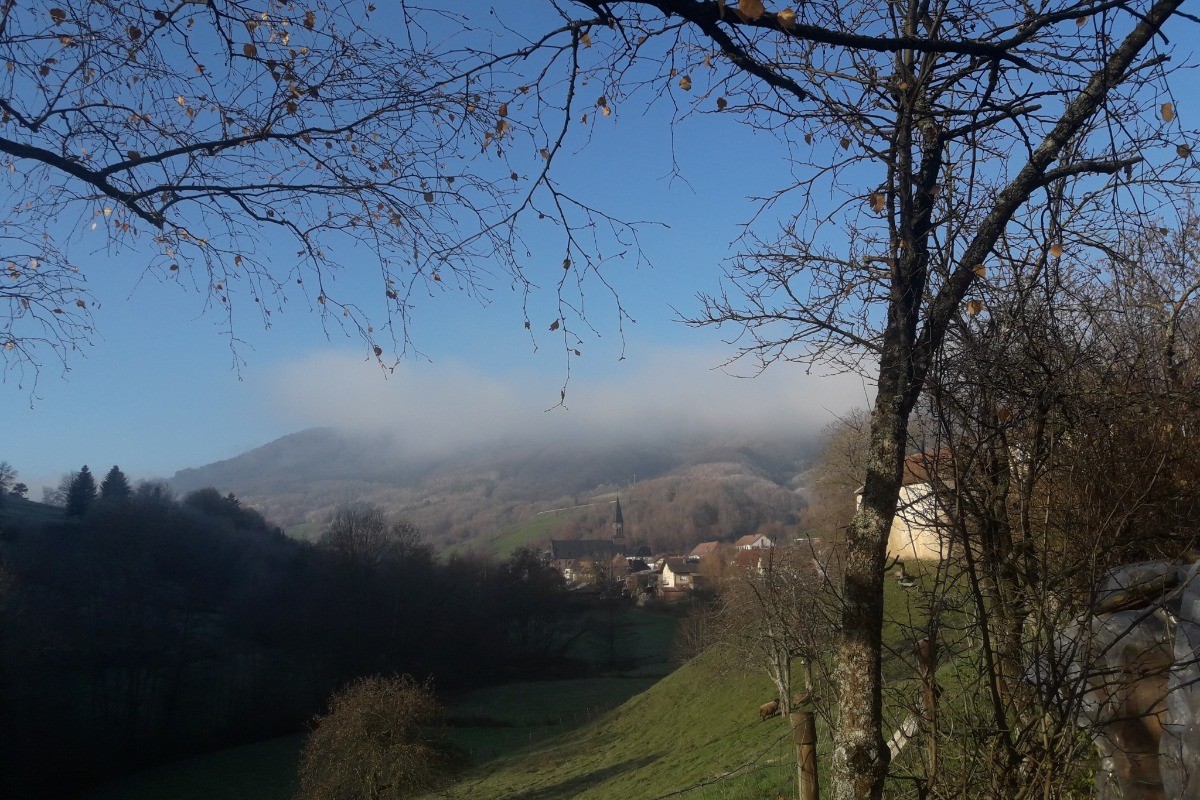 Photo n° 16 de la location