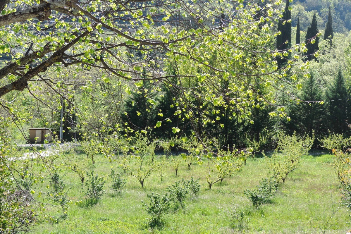 Photo n° 12 de la location