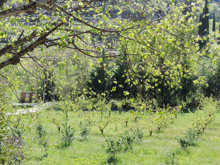 Photo n° 12 de la location