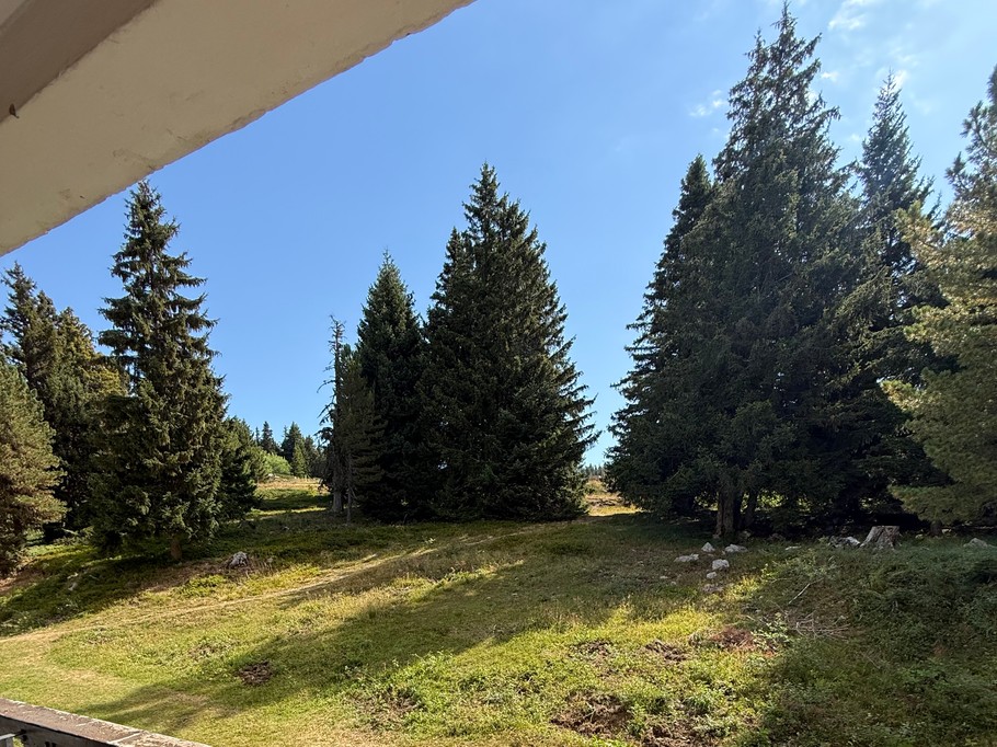 Photo n° 15 de la location