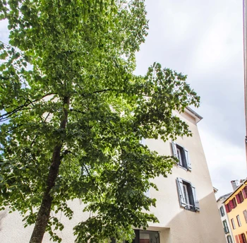 Photo n° 12 de la location