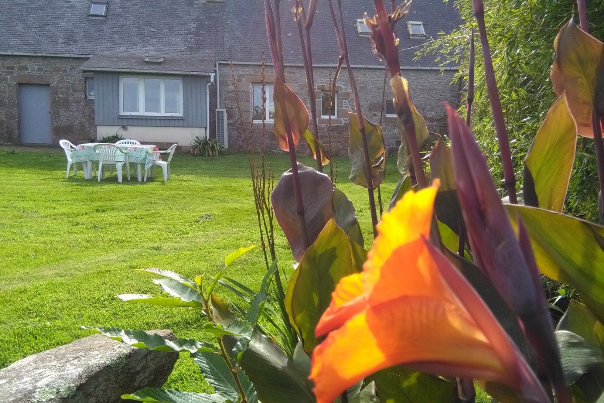 Jardin à l'arrière de la maison, calme et repos
