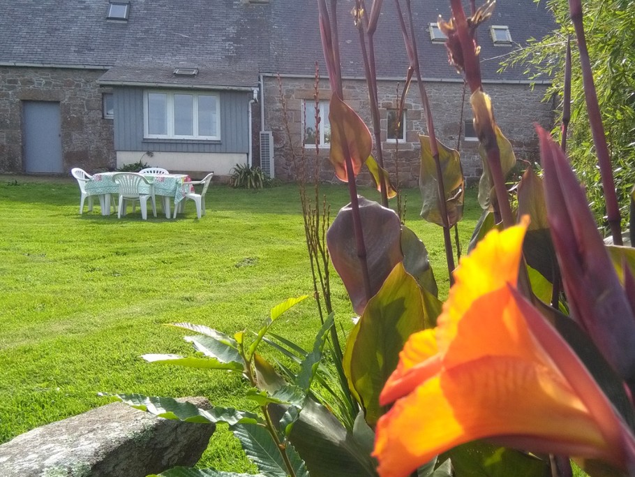 Jardin à l'arrière de la maison, calme et repos