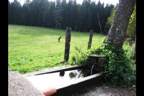 Photo n° 13 of the location