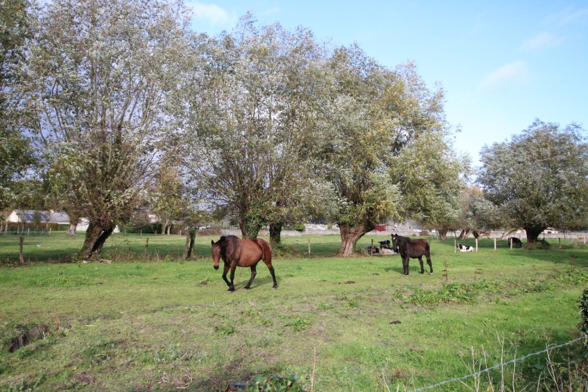 Vue sur la campagne
