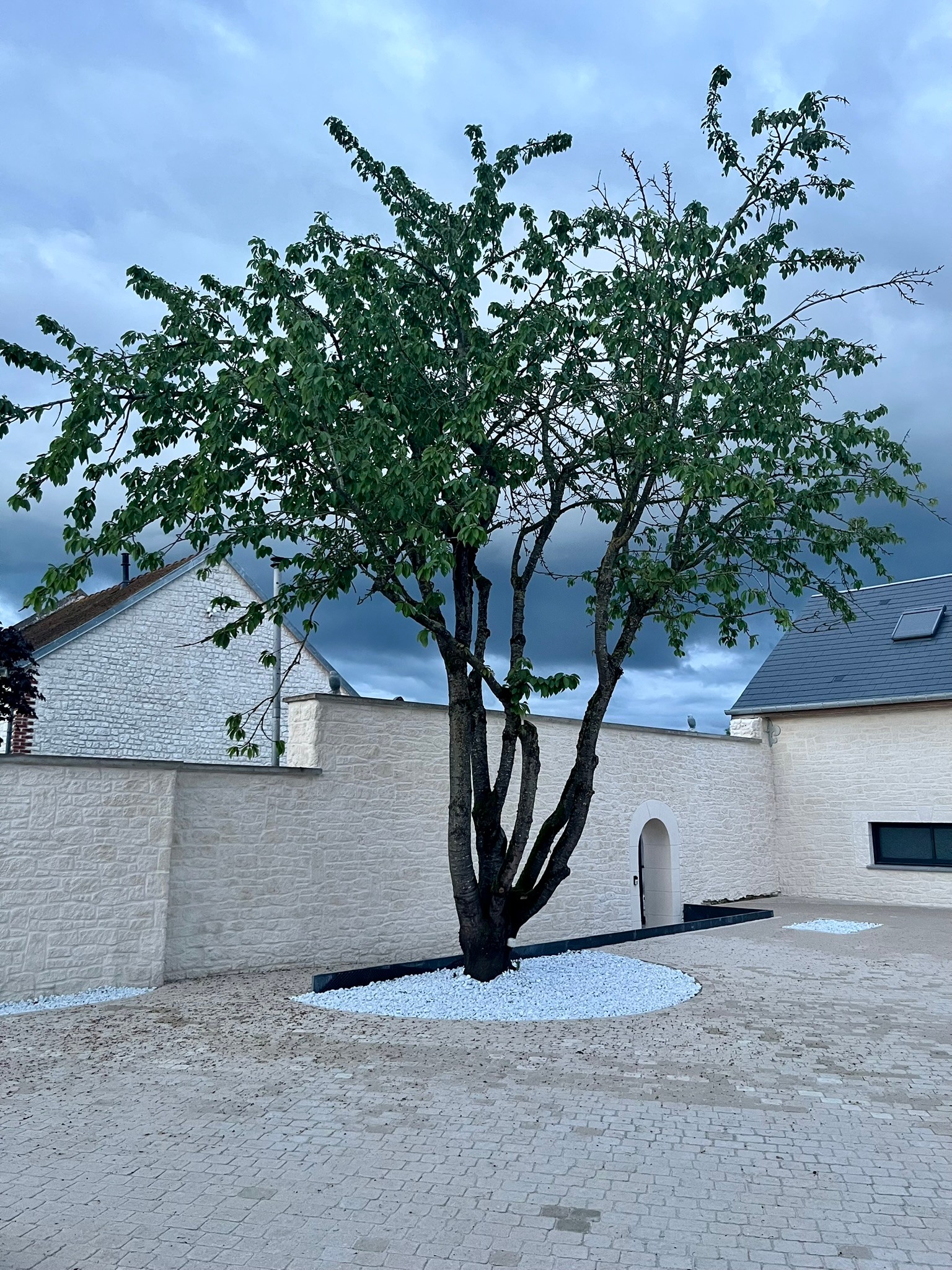 Photo n° 4 de la location