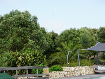 Piscine chauffée 15 m x 5