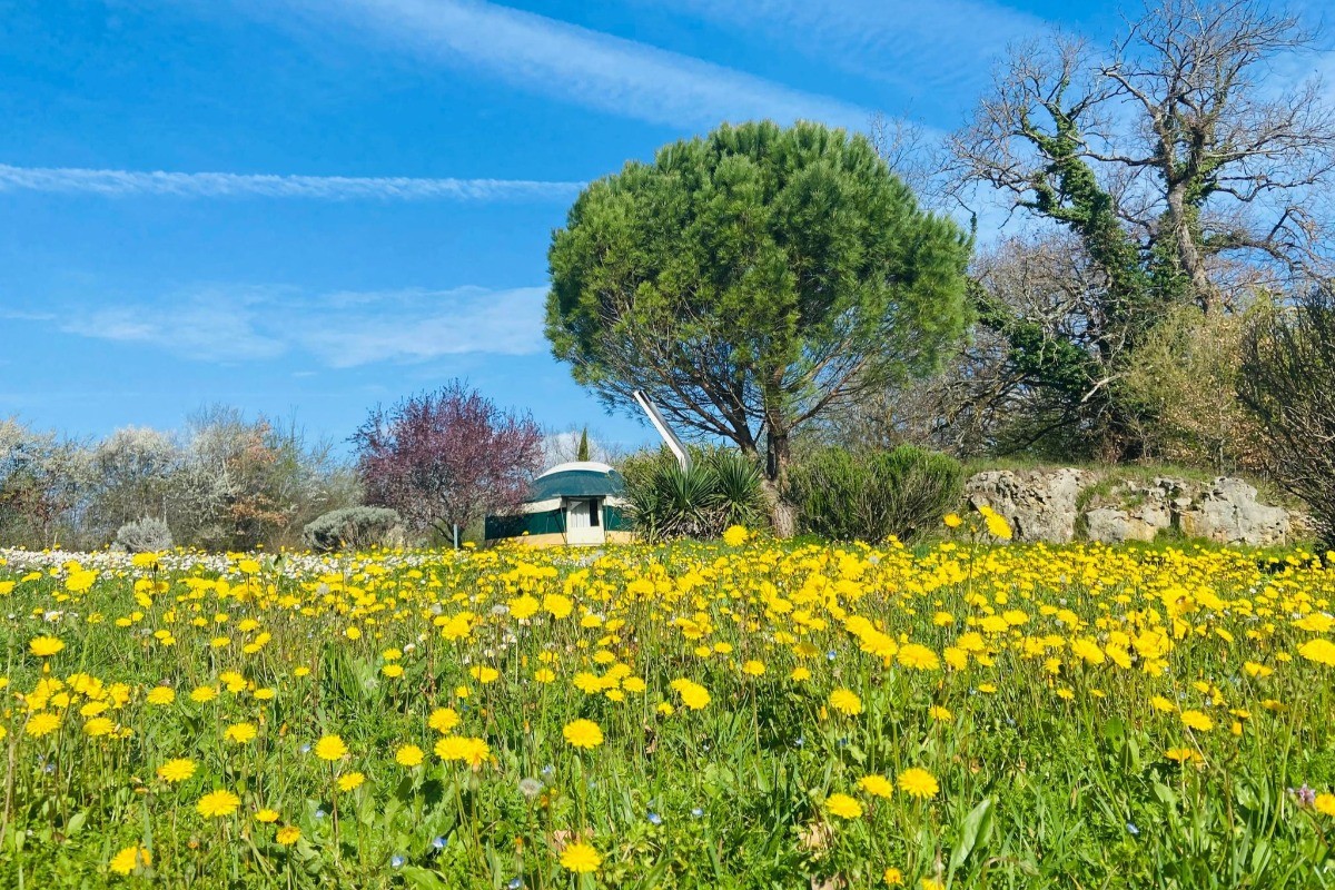 Photo n° 10 of the location