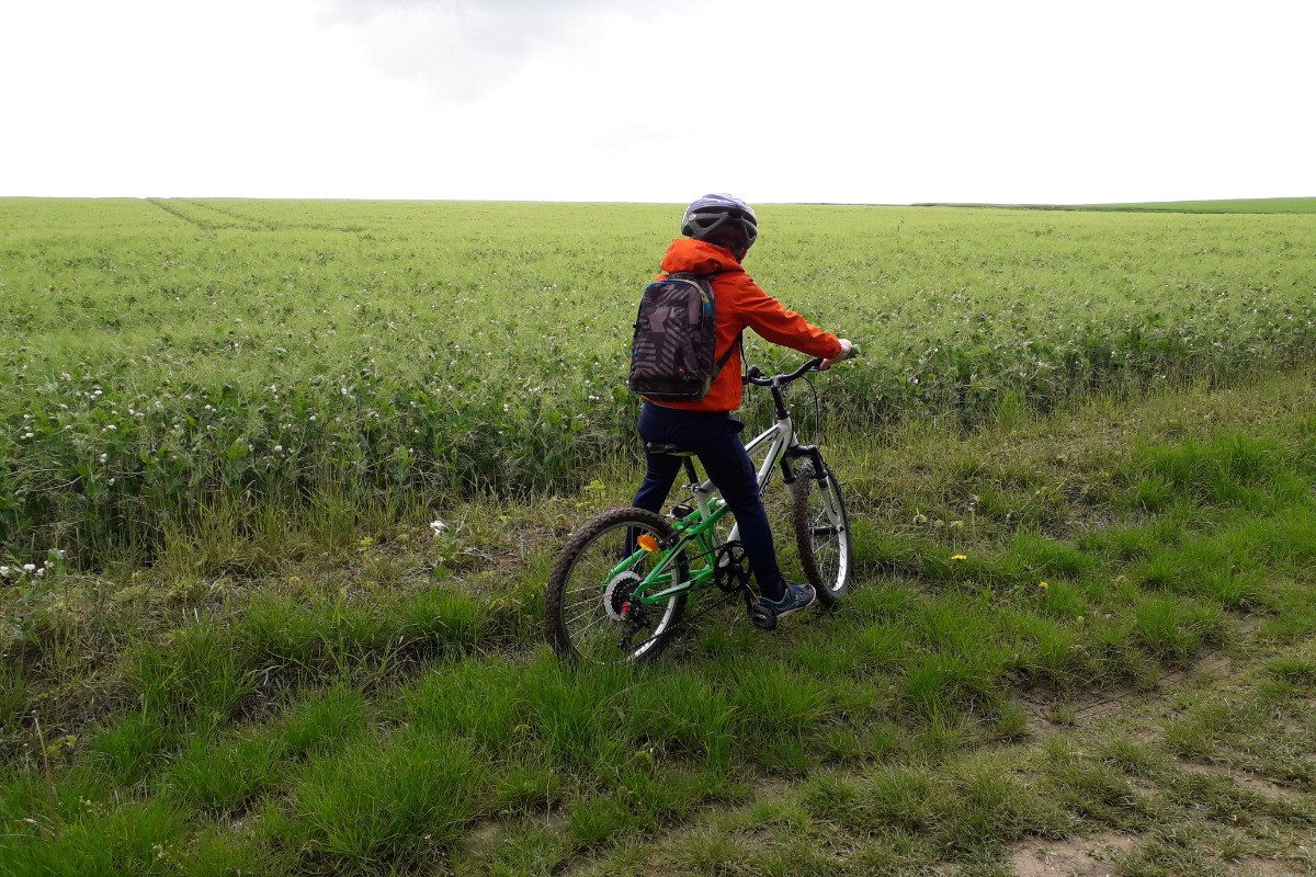 Balade en vélo