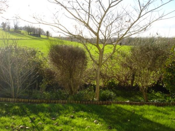 Photo n° 8 de la location